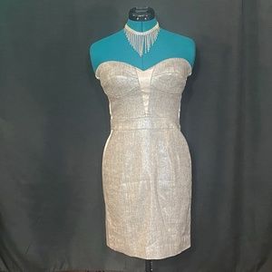 BeBe Strapless Shimmer Pencil Dress Sz: 6 (As seen on TV)